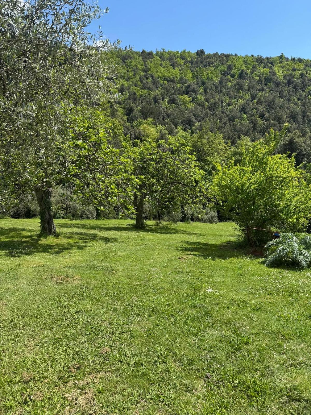 Casa Franceschini Villa Poggio Mirteto Exterior photo